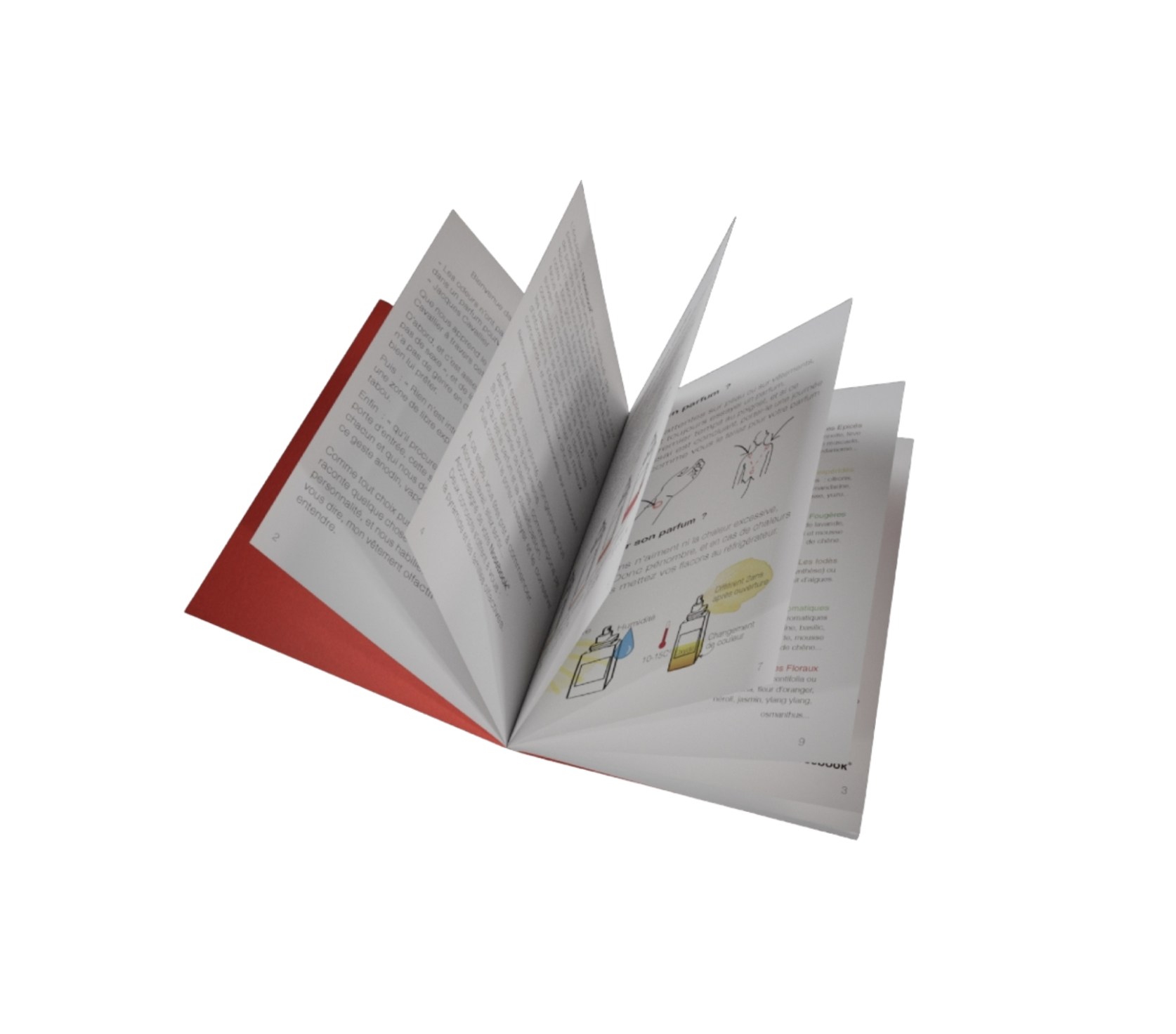 LIVRE OUVERT CENTRE SS BG