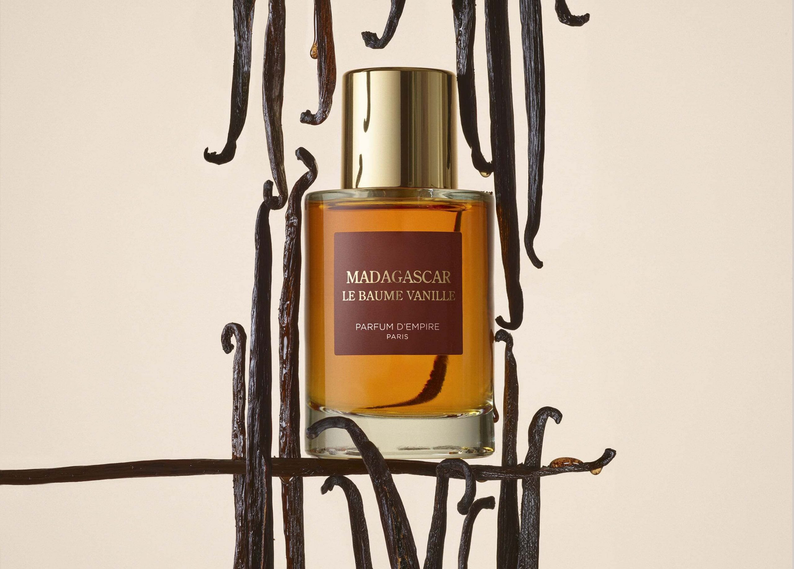 Madagascar le baume vanille - visuel institutionnel  horizont web-2-2